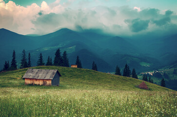 Wall Mural - Carpathian mountain landscape