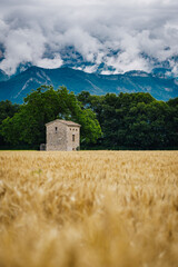 Wall Mural - Old stone hut in the middle of a wheat field with the Alps mountain in the background and a cloudy sky, near Chatillon en Diois in the South of France (Drome)