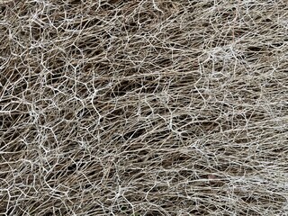 dry grey shrub structure background