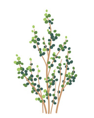 Wall Mural - Simple Bush with Green Leaves Isolated