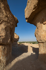 Wall Mural - Sunset views across over the oasis town of Al Hasa from Al Qarah hills, Saudi Arabia