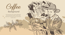 Coffee Farmer Of Ink Sketch Etching For Label, Packaging, Poster. Coffee Picker Of Drawing On Vintage Paper. Arabica Coffee Of Sketch Drawing Vintage For Art Print.
