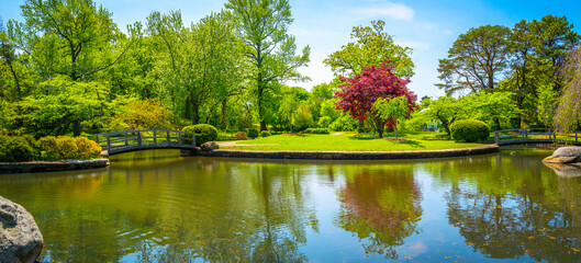 Wall Mural - Japanese Garden at Roger Williams Park, Providence, Rhode Island, pond, red maple, and green willow trees on the hill