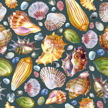 Watercolor Illustration Pattern Of Sea Shells And Sea Stones On A Gray Background. Summer Theme, Beach And Relaxation.