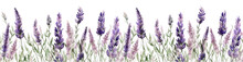 Seamless Border Of Tender Watercolor Lavender Flowers Border On Transparent Background, AI Generated