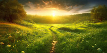 Beautiful Sunset Over Green Meadow Covered With Flowers With Winding Path