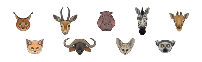 Wall Mural - wild african and south living animal snout and muzzle with horns and fur vector set
