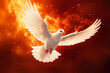 © DRasa - Pentecost Sunday. Flying white dove in fire background. Symbol of the Holy Spirit descent upon the Apostles and other followers of Jesus. Generative AI