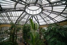 Inside The Hortus Botanicus Amsterdam