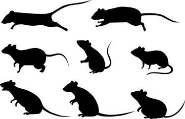 black silhouette rat collection, set isolated on white background, vector flat illustration