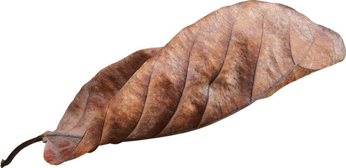 Dry leaves naturally.