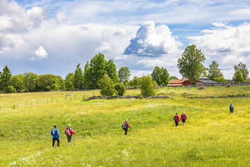 Poster - People hiking on a meadow in the countryside