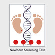 Newborn screening test vector illustration infographic