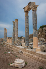 Wall Mural - In the historic centre of Knidos