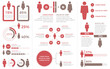 Demography infographic elements - diagrams, statistics, percents - set of templates with man and woman symbols