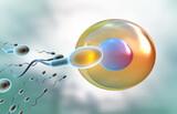 Fototapeta Zwierzęta - Human sperm and egg. 3d illustration..
