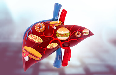 Wall Mural - Human liver anatomy with junk food, fast food, unhealthy food.3d illustration