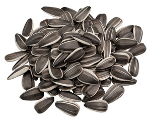 Wall Mural - sunflower seed, isolated on white background, full depth of field