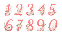 Collection Numbers From 0 To 9 Decorated With Roses, Branches, Leaves. For The First Year Of A Baby's Life, Wedding Invitations And Birthday Cards. Baby Milestone