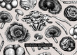 Medicinal mushroom vector background. Sketched adaptogenic plants banner design. Perfect for traditional medicine recipe, menu, label, packaging. Magic fungi sketches