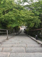  Escalier ou chemin de pierres pour passants ou eau, sur le flanc de la montagne et dans une zone asiatique, exploration d'une ancienne civilisation japonais, de la verdure autour et un coin de détente