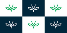 Set Of Green, Deer, Leaf Logo Designs, Icons Vector Elements 
