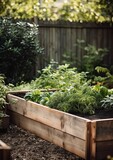 Fototapeta  - Raised bed garden with plants. Home gardening concept with raised bed gardens Generative AI
