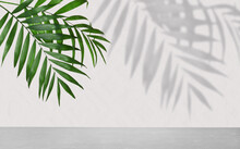 Tropical Leaves Over Grey Table Casting Shadow On White Background
