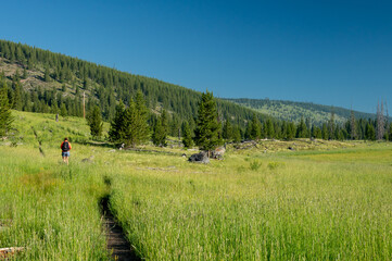 Poster - Hiker Passes Through Tall Grass Meadow On Narrow Trail