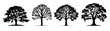 Forest woods leaves tree vector illustration set collection for logo - Black silhouette of different , isolated on white background (Generative AI)