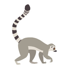 Wall Mural - Animal illustration. Walking ring tailed lemur drawn in a flat style. Isolated objects on a white background. Vector 10 EPS