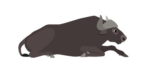 Wall Mural - Animal illustration. Lying buffalo drawn in a flat style. Isolated object on a white background. Vector 10 EPS