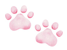 Watercolor Illustration. Hand Painted Pink Paw Print Of Kitten, Puppy. Foot Print Of Dog, Cat. Canine, Feline Paws. Domestic Animals. World Animal Day. Isolated Clip Art For Posters, Banners