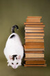 A tower of old books and a cat on an olive green background.