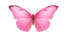Beautiful Pink Butterfly Isolated On A White Background. Generative AI Illustration	