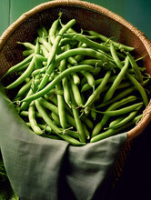 Fresh, Organic, Green Beans. Raw Fresh Beans. Pods Of Green Beans Close-up. Bean Pods Background. Close-up Green Beans Background.