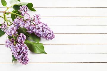 Wall Mural - Frame with Lilac flowers on white wooden background. Top view, flat lay