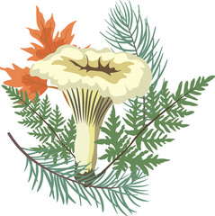 Wall Mural - Composition of Autumn Mushrooms with leaves in isolated background.