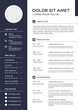 © Irullimin - professional curriculum vitae template vector
