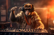 Affe als DJ: Musikalische Meisterwerke aus den Pfoten