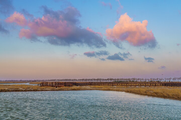 Wall Mural - sunset over the river