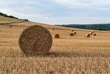Bale Of Straw Lying On A Harvested Crop Field