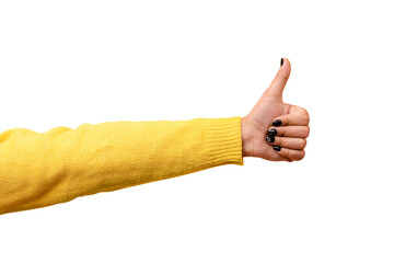 thumb up, like sign  isolated on transparent background