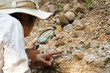 © Pornpimon - Female geologist using magnifying glass to examine and analyze rock, soil, sand in nature. Archaeologists explore the field. Environmental and ecology research.