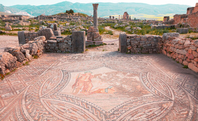 Wall Mural - Volubilis archaeologic site in Morocco near Meknes