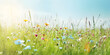Leinwandbild Motiv Beautiful meadow field with fresh grass and flowers in nature against a blurry green background with sun rays. Summer spring perfect natural landscape. Generative AI.