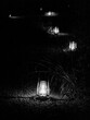 Black and white of lanterns on a path