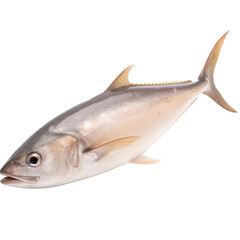 Wall Mural - side view of Amberjack fish on transparent background, Generative ai  