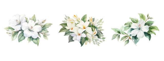 set of watercolor flower. diy flower, green flower elements collection. rose, peony, eucalyptus. for