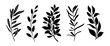 Set of leaves silhouette of beautiful plants, leaves, plant design. Vector illustration 